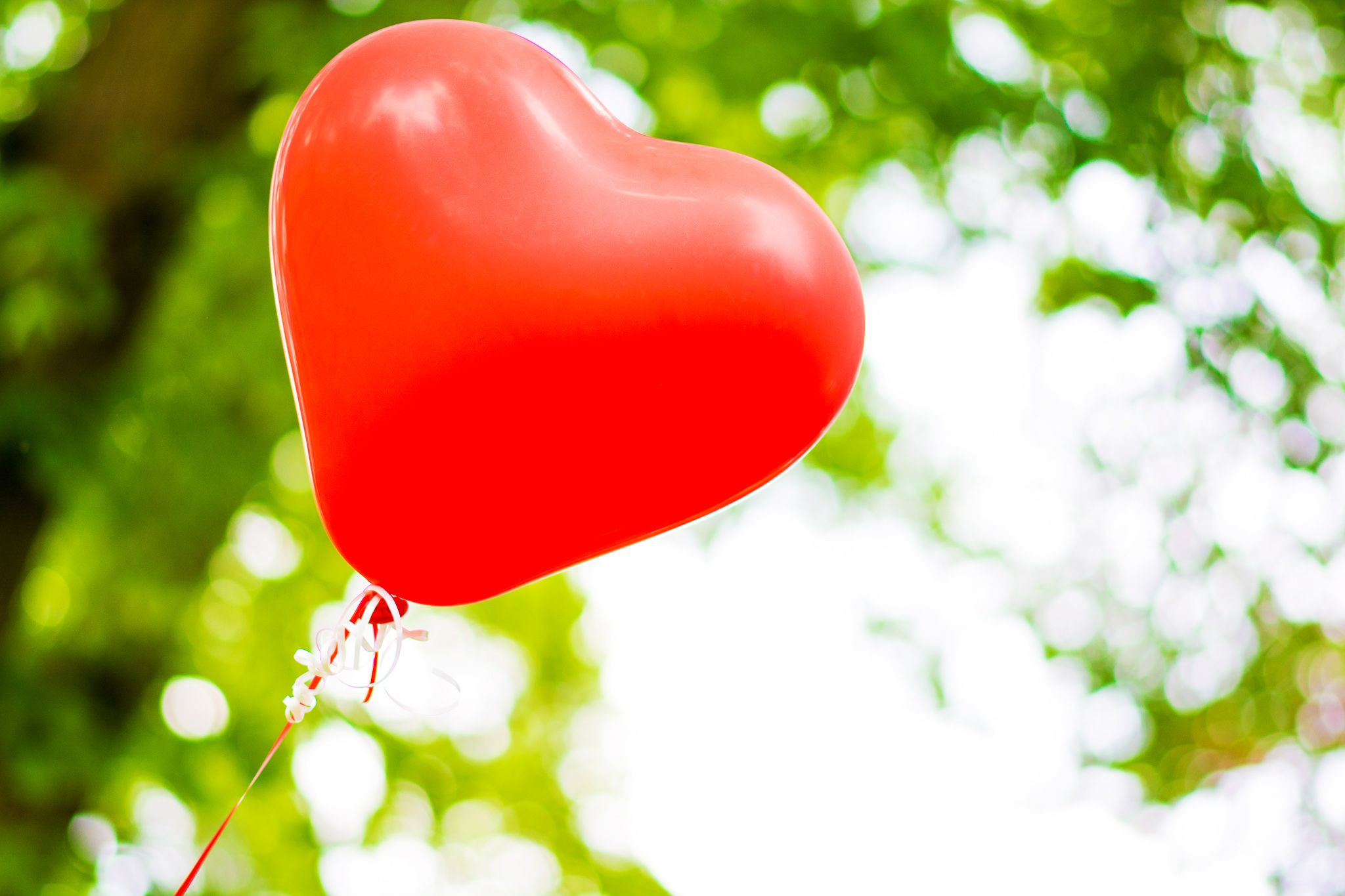 Trouwfotograaf Asten